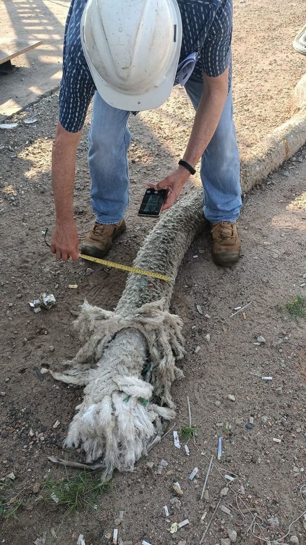 Bollard pull test (BPT) Photo