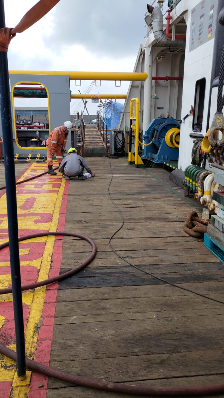 Survey job wood main deck Photo