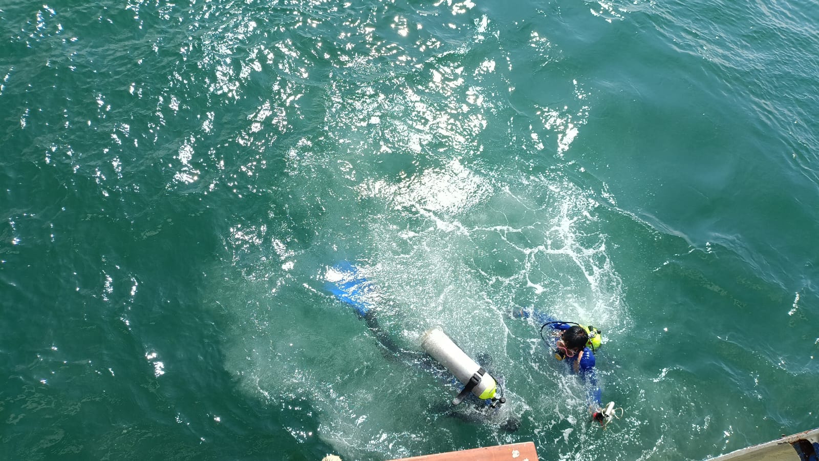Underwater Cleaning Photo