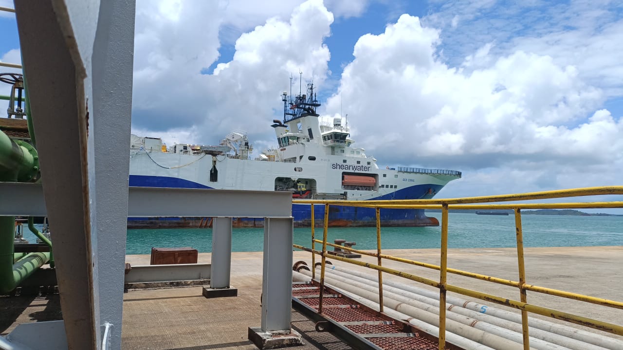 Geo coral dock Photo